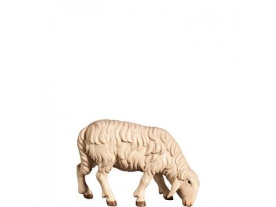 Schaf grasend rechts (O)